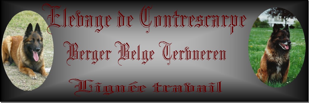 �levage de Contrescarpe, Tervueren Lign�e de travail